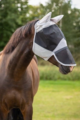 Fliegenhaube Solaire Grau