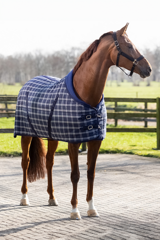 Luxury Stable Rug 300g Blue Check
