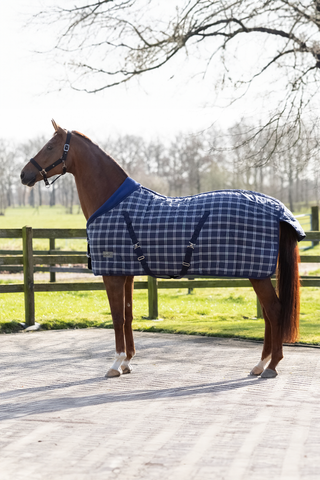 Luxury Stable Rug 300g Blue Check