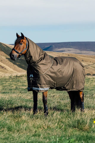 Regntäcke Arika Ripstop 100g Alpine