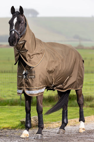 Regntäcke Arika Ripstop 50g Alpine