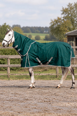 Rain Rug Basic Plus 50g Green/Silver