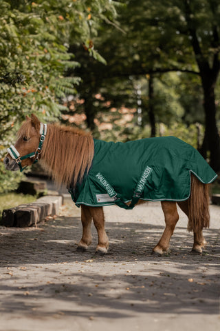 Regntäcke Shetty Fir Green