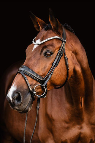 Träns Isabell Werth Johnny Svart/Silver