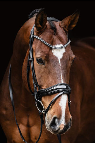 Träns Isabell Werth Satchmo Svart/Lack/Silver