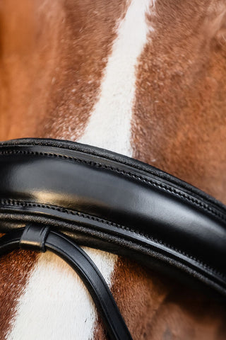 Träns Valencia SP Svart/Silver