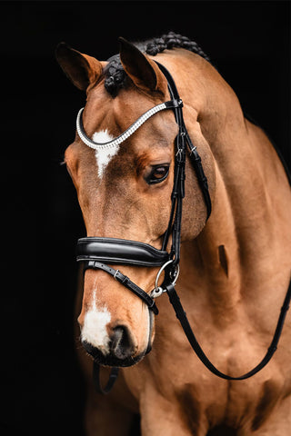 Träns Valencia SP Svart/Silver