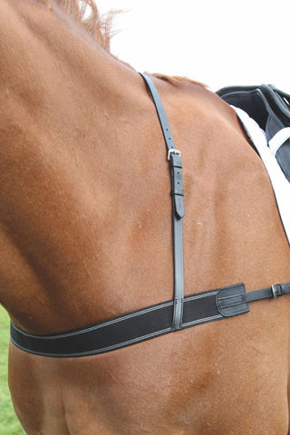Elastisk förbygel Blenheim