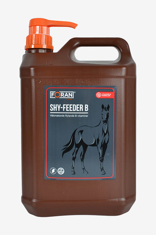 Shy Feeder B