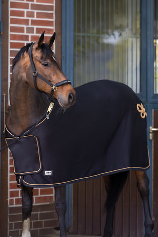 Softshelldecke Core Air Schwarz