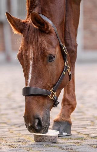 Stablesnack Licking Bowl 650g