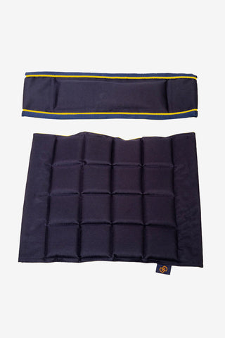 Rygg + Stolsdyna Navy/Guld