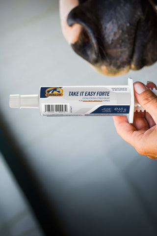 Take It Easy Forte Oralpasta 60 g