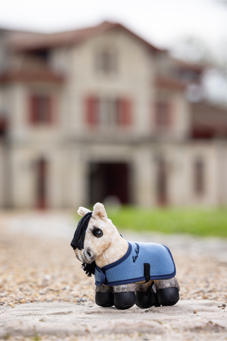 Tiny Pony Dream