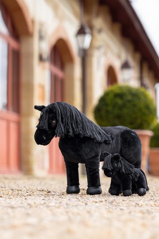Tiny Pony Skye