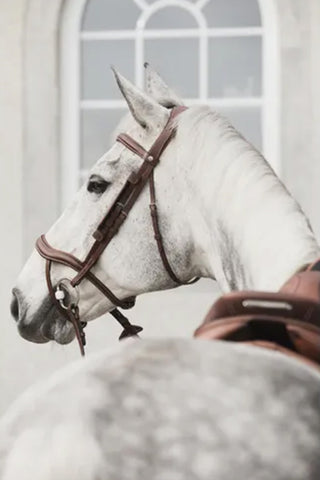 Bridle Eccelente Cognac