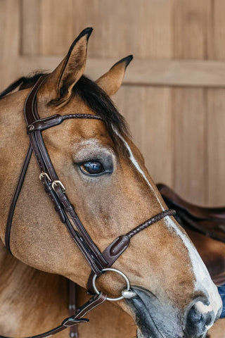 Träns Flätad Rund Kombinerad Dyon Collection Brun