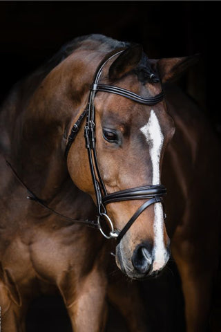 Träns Monza SP Svart/Silver