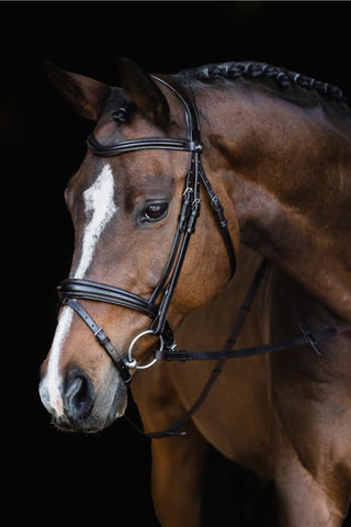 Träns Monza SP Svart/Silver