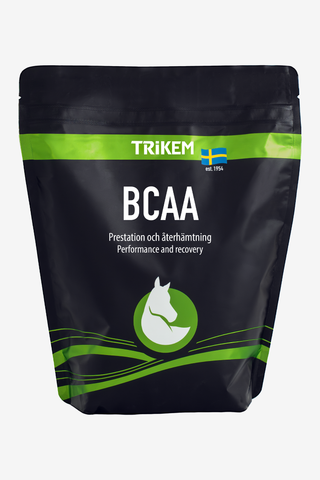 BCAA 500g