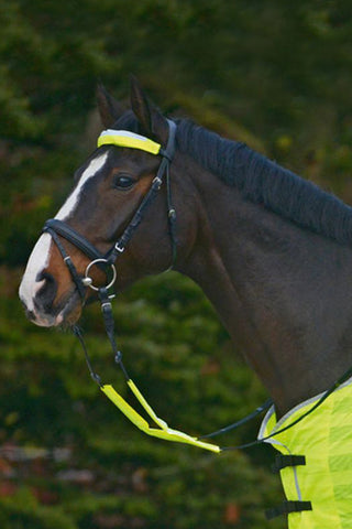 Tygelreflex 3-pack Neon