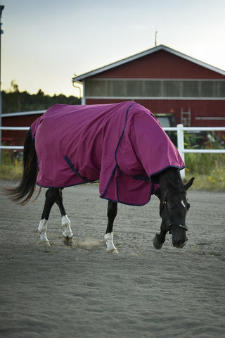 Utetäcke med hals 100g Fuschia/Navy