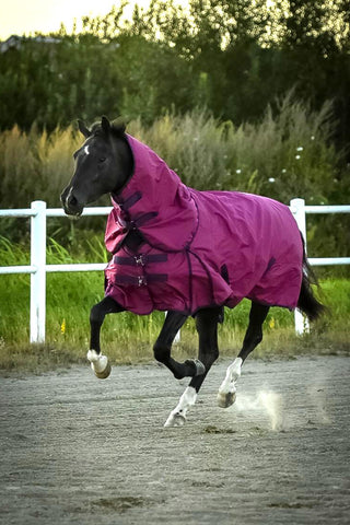 Utetäcke med hals 100g Fuschia/Navy