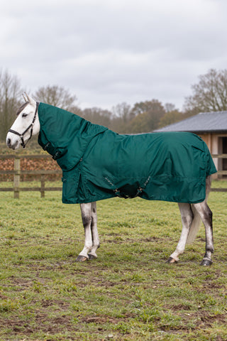 Winter Rug Basic Plus 150g Green/Green