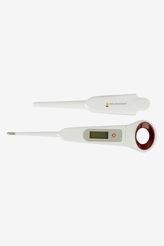 Thermomètre numérique pour cheval