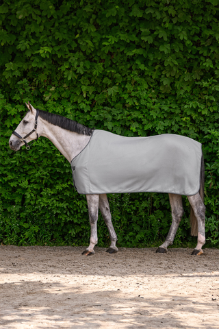 Fleecetäcke Economic Silvergrey