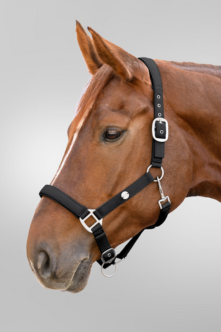 Grimma Trinidad Svart