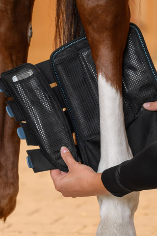 Health + Care TecSupreme benskydd sort