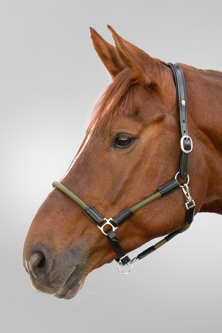 Lädergrimma X-Line Nevada Svart/Grön