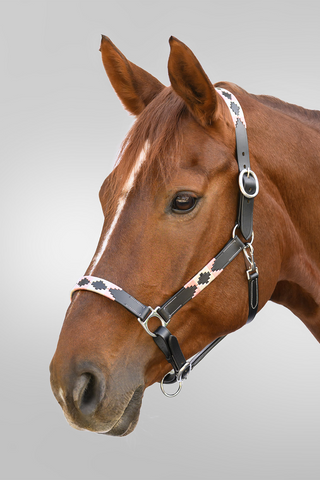 Lädergrimma X-Line Polo Rosa/Beige