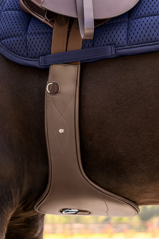Brown Belly Guard