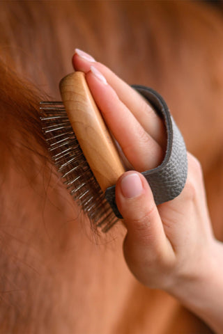 Mane Brush Exclusive Line Long Natural