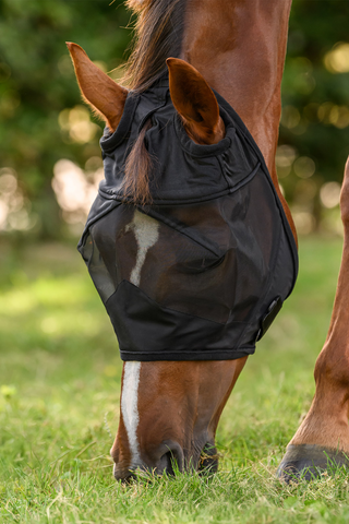 Fly Mask Premium Without Ears Black