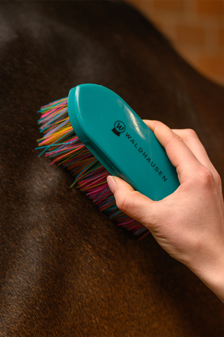 Brosse Rainbow Petrol Blue