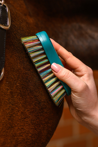 Rainbow Face Brush Petrol Blue