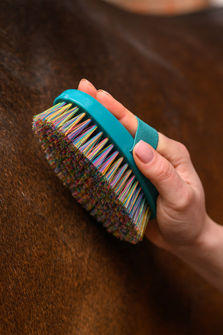 Rainbow Grooming Brush Petrol Blue