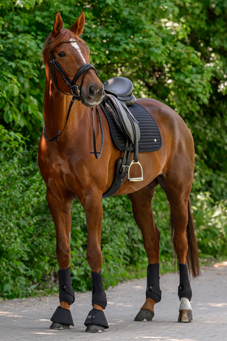 Schabrak Trinidad Svart