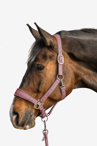 Halfter Set Samt Dusky Pink