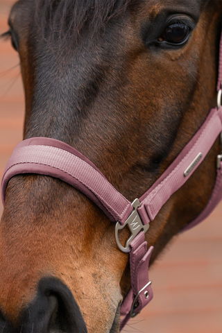 Halfter Set Samt Dusky Pink