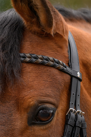 Browband X-Line Braided Black
