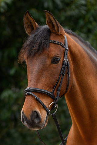 Browband X-Line Braided Black
