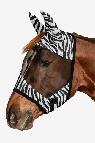 Flughuva Zebra