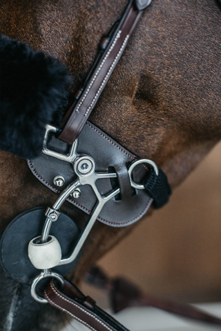 Hackamore Skydd
