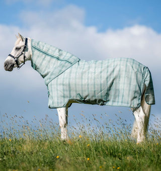Flugtäcke Newmarket Ponny M.Hals Witney Dynasty