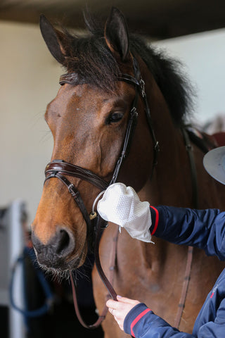 Belvoir Tack Cleaner Mitt