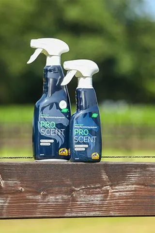 Proscent 250ml